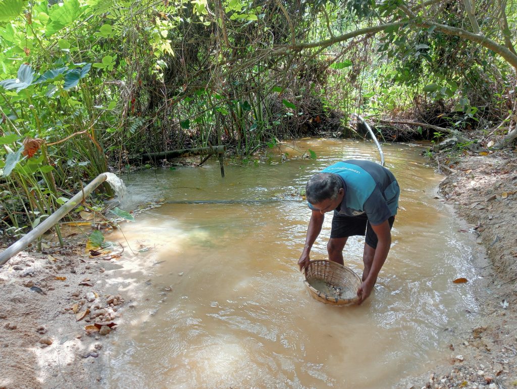A local man panning for moonstone gems. He has emptied slurry into a small wicker basket and is washing away the mud, hoping to find moonstones at the bottom.