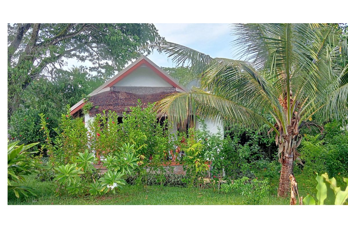 Our lovely beach hut, 100 metres from the beach and snorkelling in the clear warm waters of the South Pacific