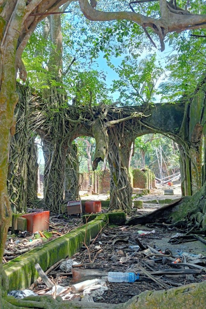 The old officers buildings abandoned when the British left the island in the second world war. Now intensely overgrown, like the temples in Ankor Wat as shown in Lara Croft Tomb Raider